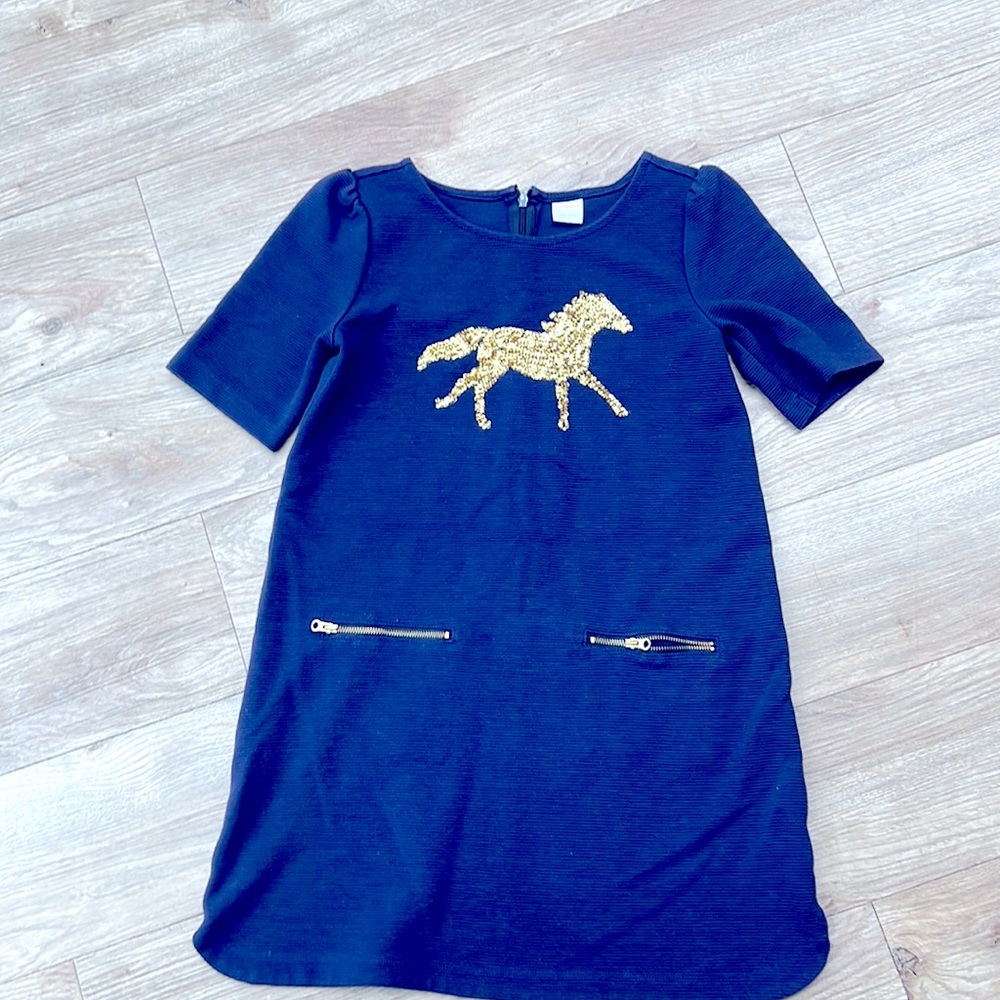 Gymboree girls pony dress